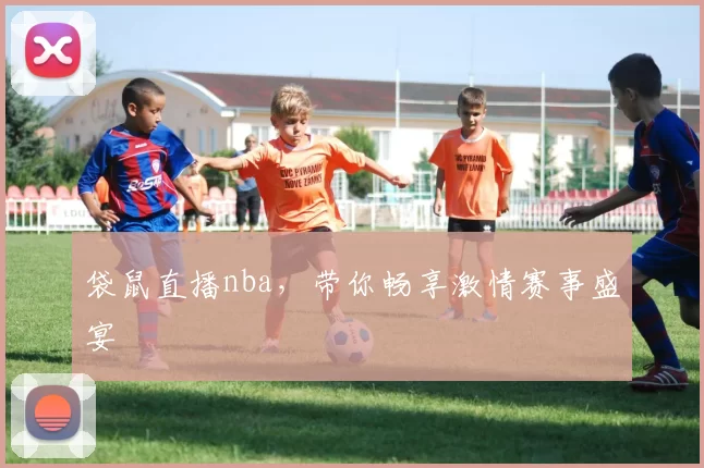袋鼠直播nba，带你畅享激情赛事盛宴
